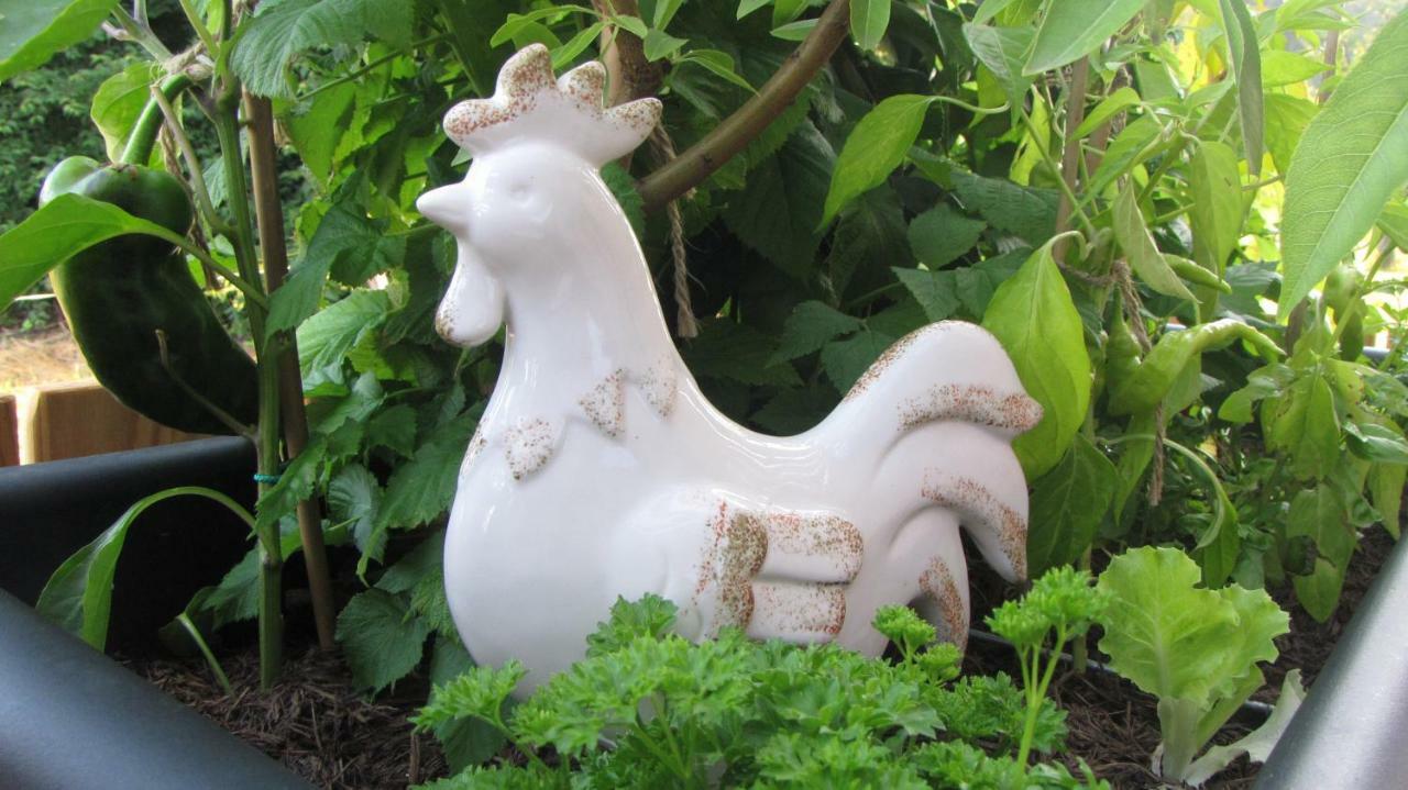 布莱德Garden Living公寓 外观 照片